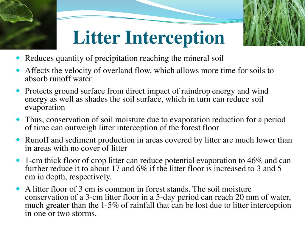 Litter Interception Reduces quantity of precipitation reaching the mineral soil.