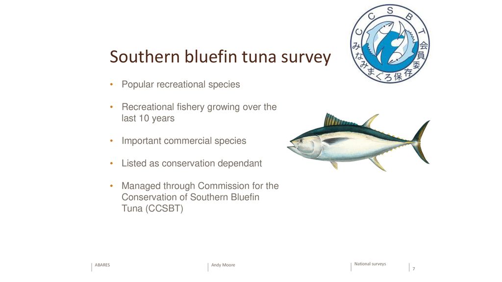 Southern bluefin tuna survey