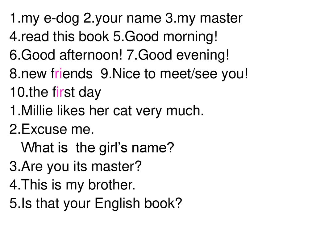 1.my e-dog 2.your name 3.my master - ppt download