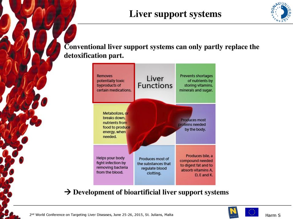 Development of Liver support system