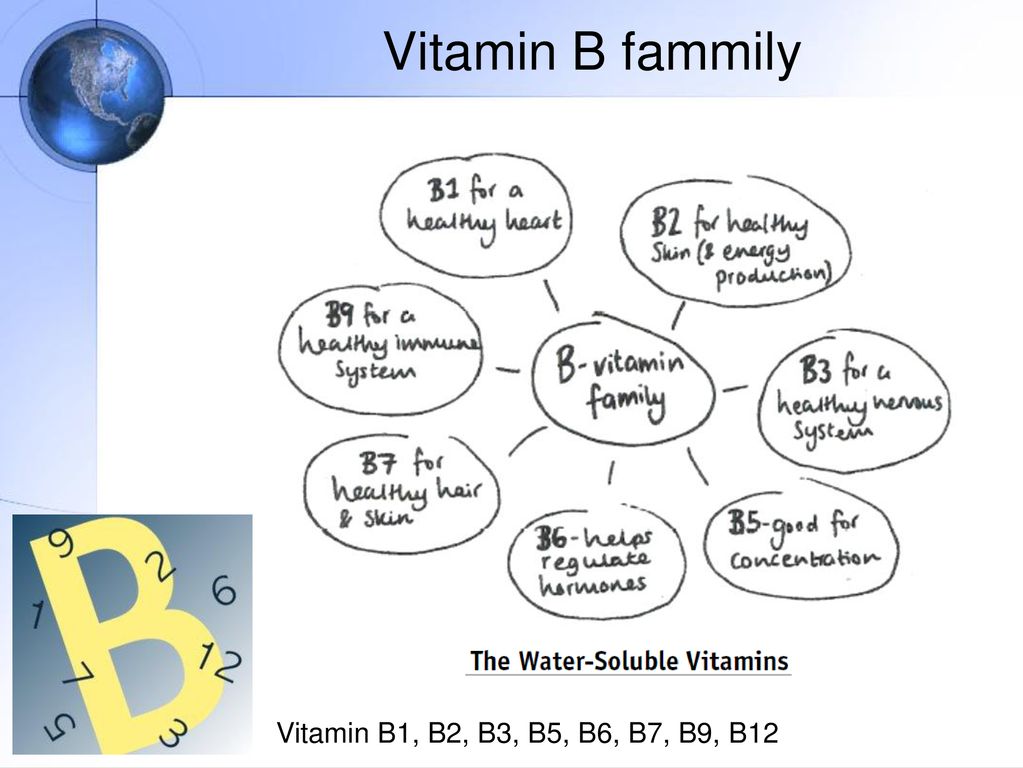 Metabolism Of Vitamin B Ppt Download