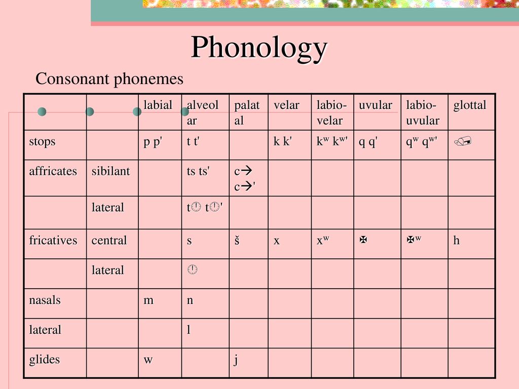 Phonology Consonant phonemes labial alveolar palatal velar labio-velar