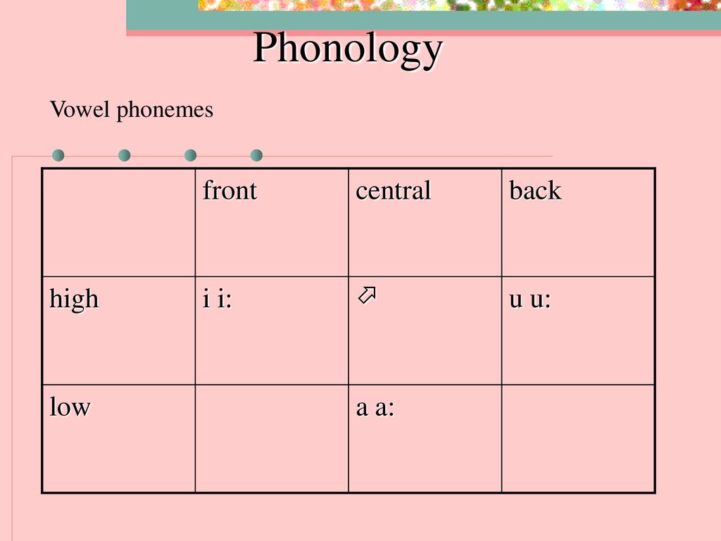 Phonology Vowel phonemes front central back high i i:  u u: low a a: