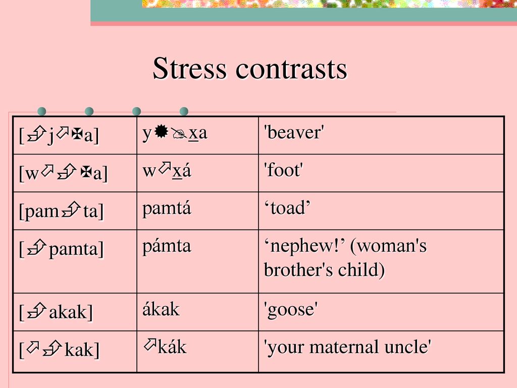 Stress contrasts [jXa] yxa beaver [wXa] wxá foot [pamta]