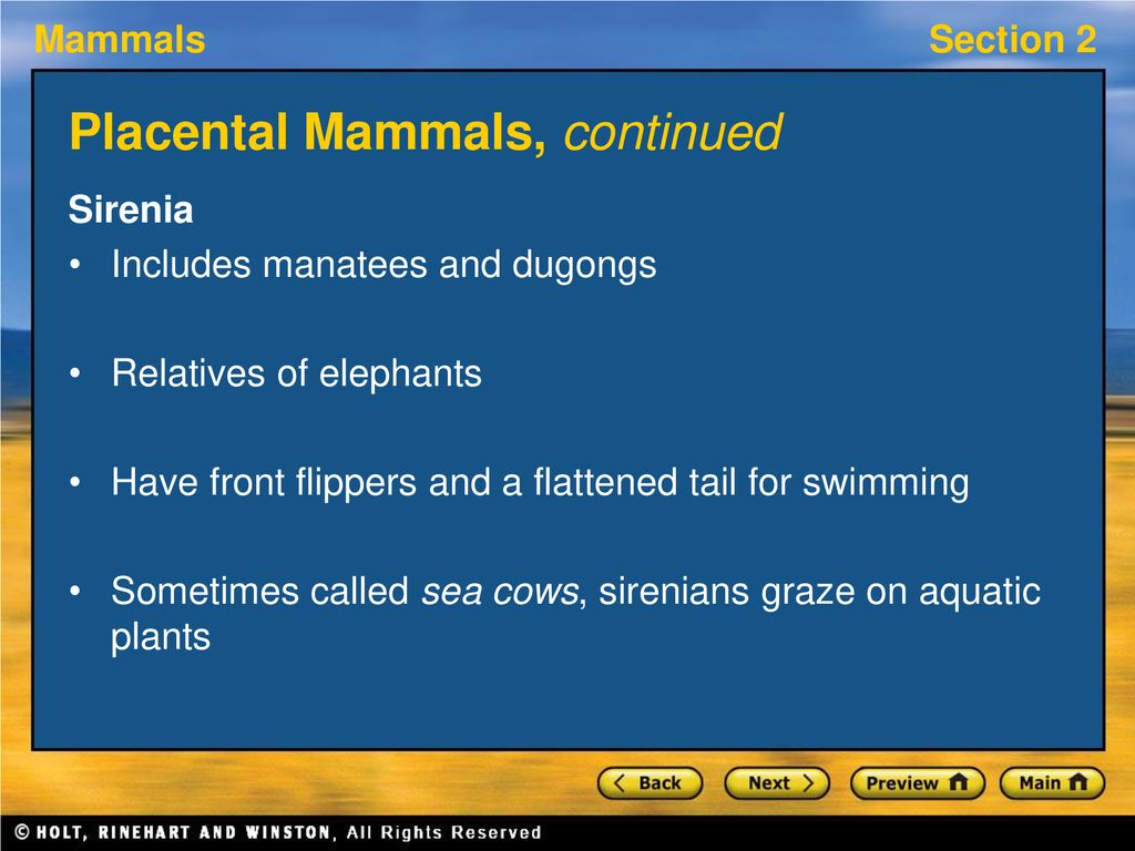 Section 2: Groups of Mammals - ppt download