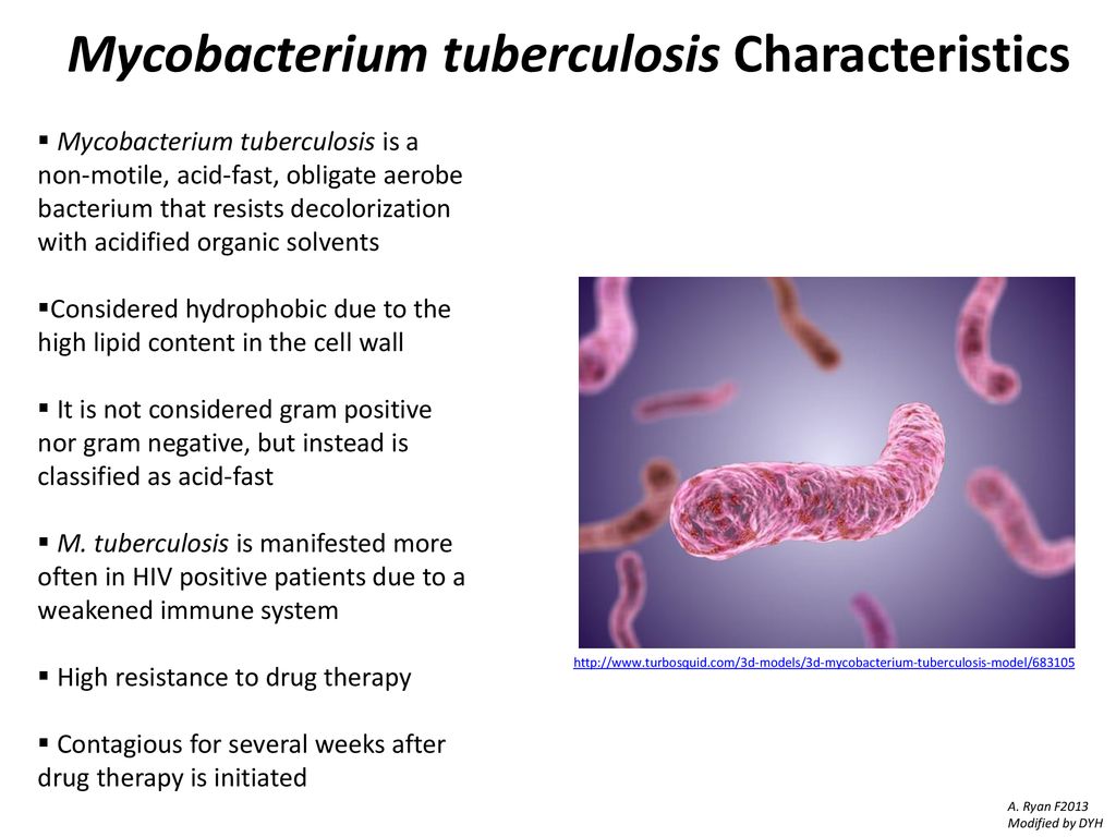 Микобактерия какая. Mycobacterium tuberculosis Cord-фактор. Микобактерия туберкулезис. Мукобактериум туберкулез. Mycobacterium tuberculosis резистентность.