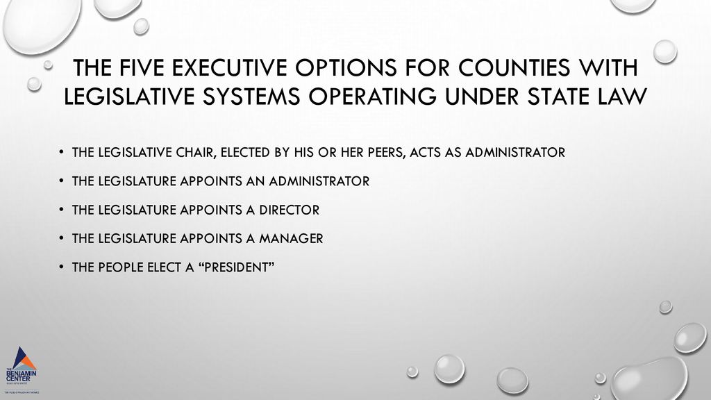 Otsego County Government Executive Function Options Ppt Download ppt-download