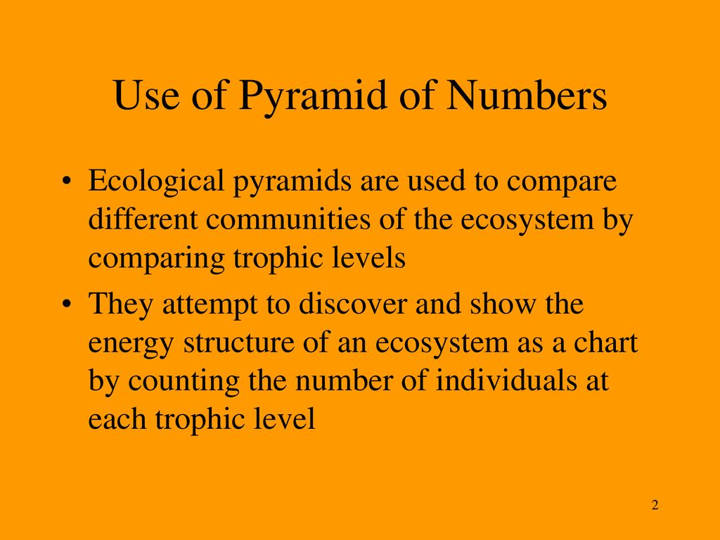 Ecosystem Pyramid Chart