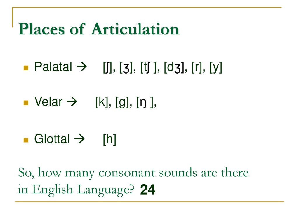 Phonetics: The Sounds of Language - ppt download