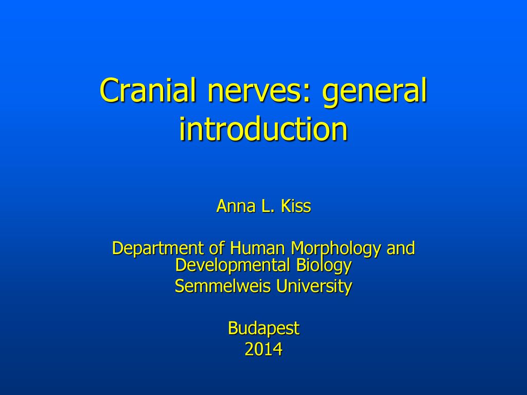 Cranial nerves: general introduction Biology Diagrams
