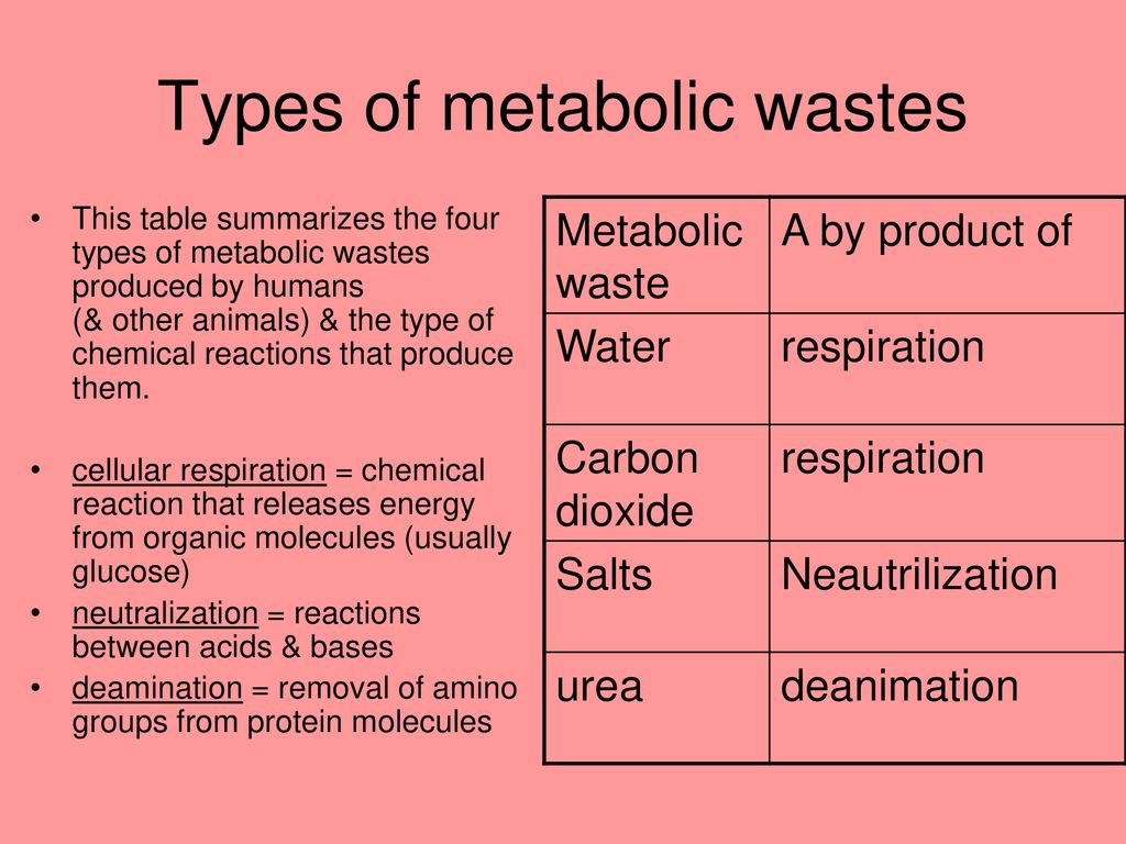 metabolic waste products examples