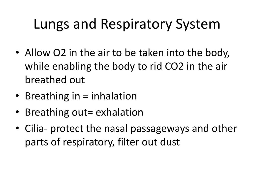 Body Systems Mrs. Vogel. - ppt download