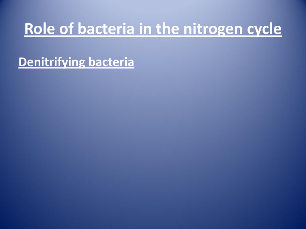 6 3 Ecosystems Ecosystems Ppt Download 6-3-ecosystems-ecosystems-ppt-download