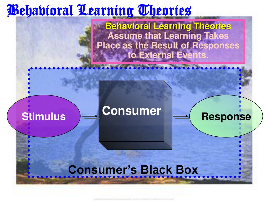 Learning And Memory. - Ppt Download