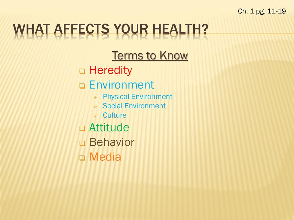 what are the three components of your health triangle ppt what are the three components of the health triangle