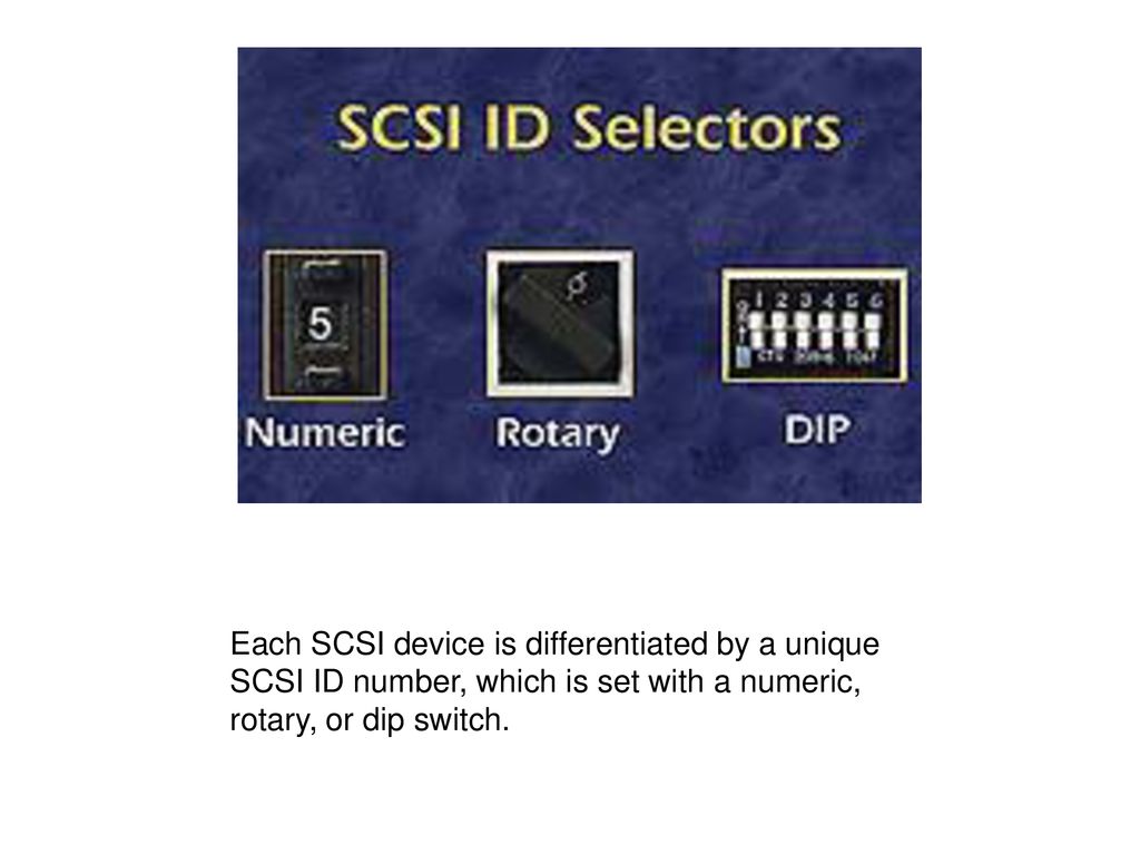 Chapter III, Desktop Imaging Systems and Issues Lesson III Moving