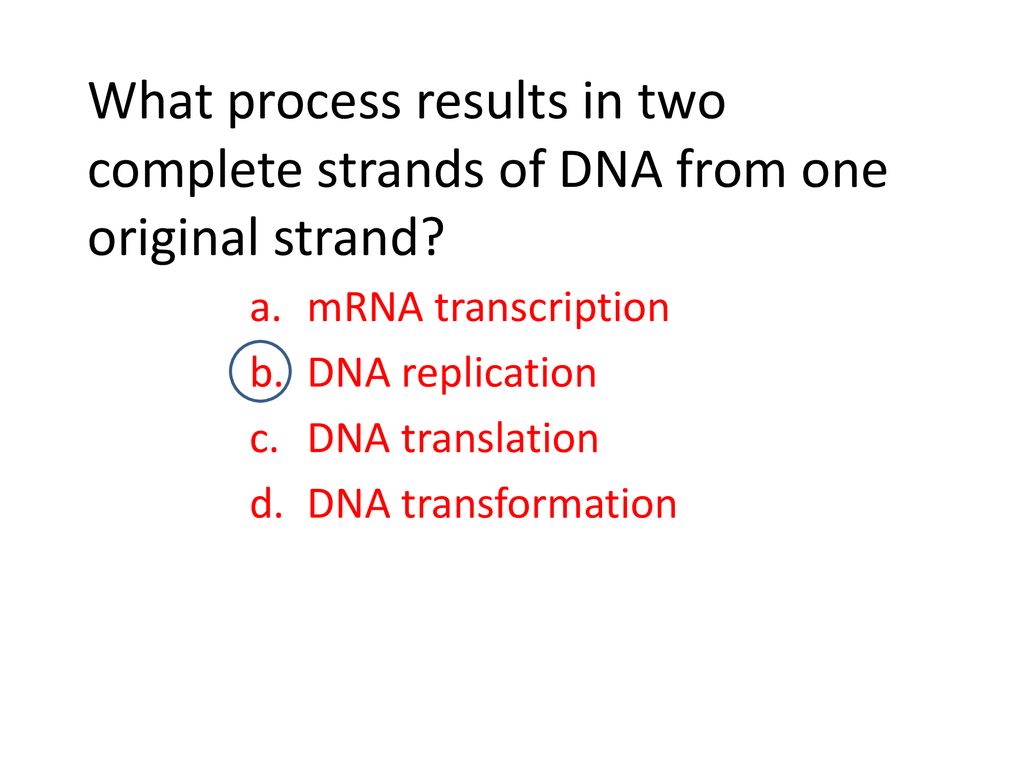 mRNA transcription DNA replication DNA translation DNA transformation