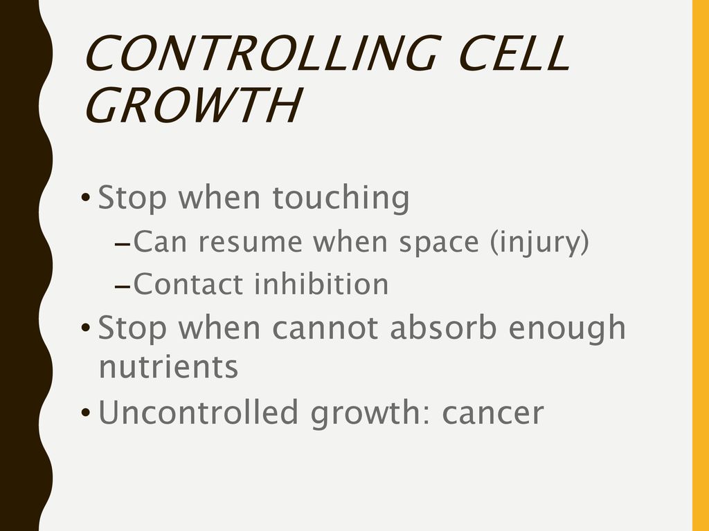 Cell Cycle (Cell Division) Biology Diagrams