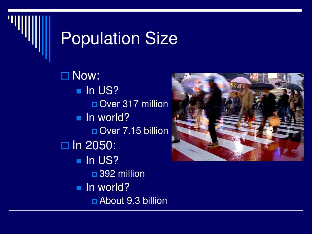 Human Population Quiz. ppt download