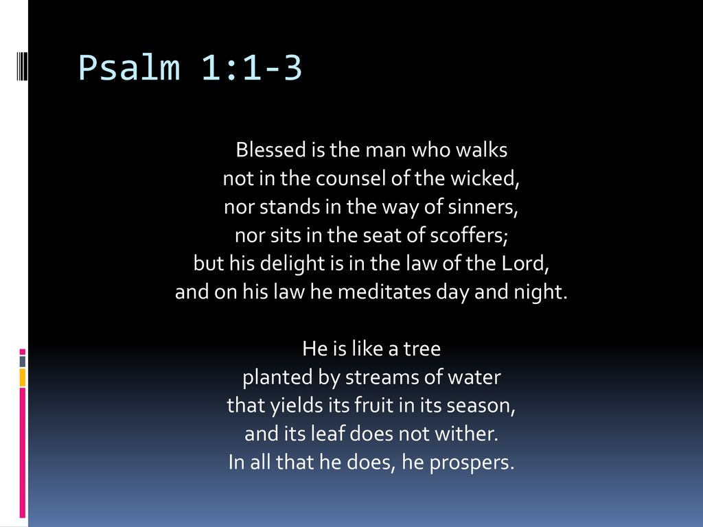 Psalm 1 1 6 Life S Two Roads