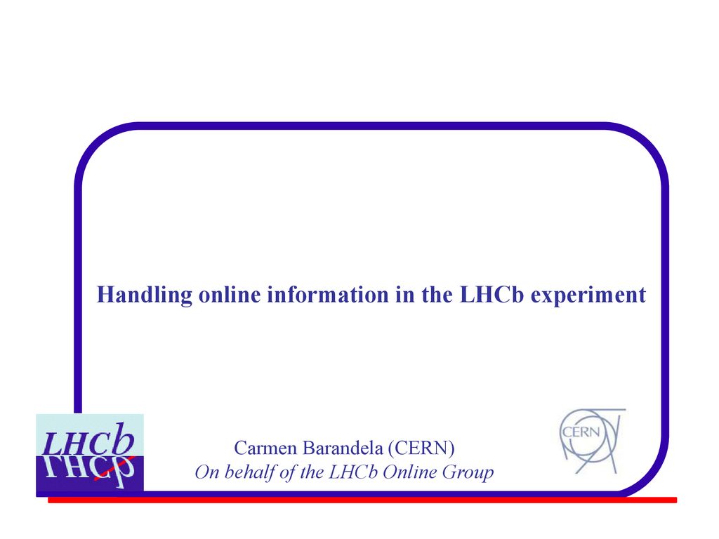 Handling online information in the LHCb experiment