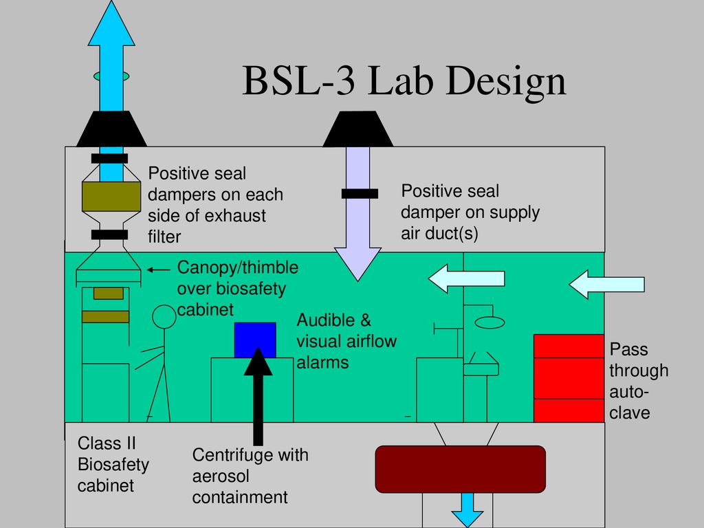 Controls In Biosafety I To Iii Composite Summary Ppt Download