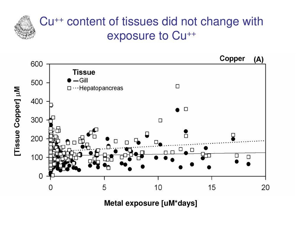 Cu++ content of tissues did not change with exposure to Cu++
