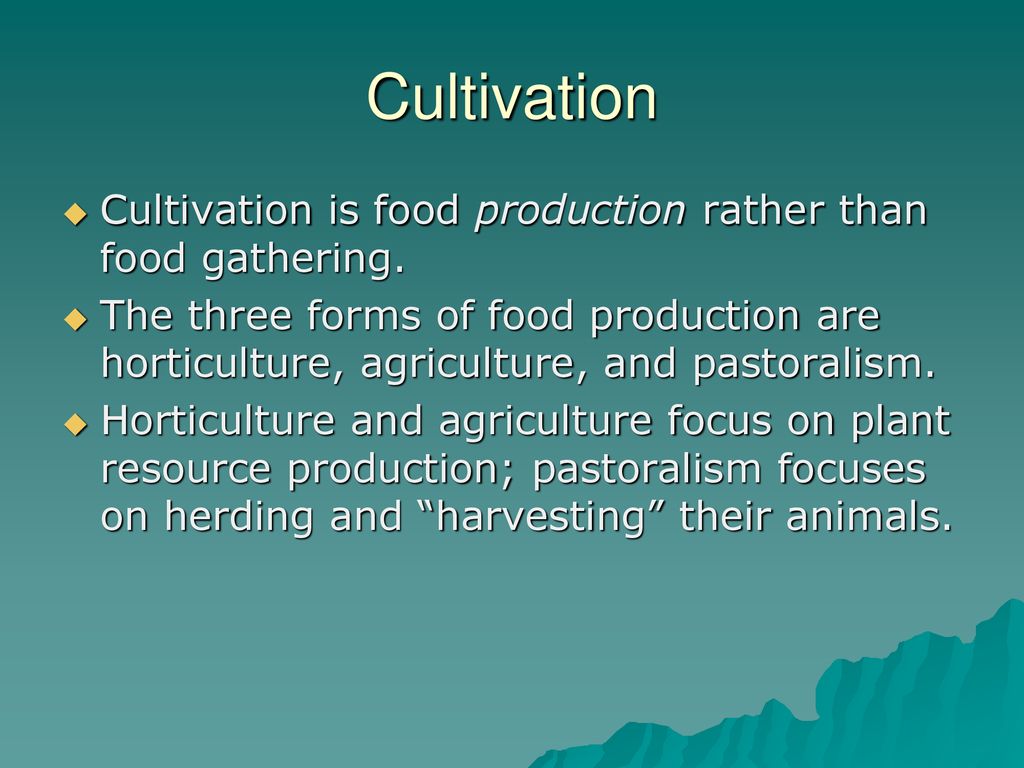 Cultivation Cultivation is food production rather than food gathering.