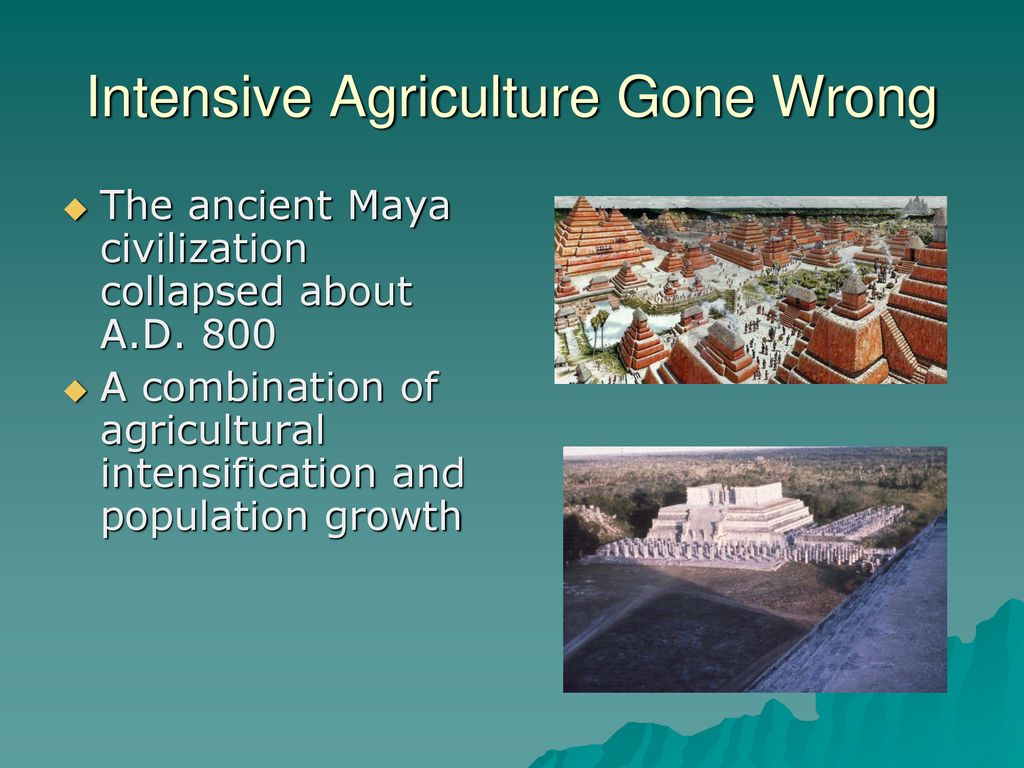 Intensive Agriculture Gone Wrong