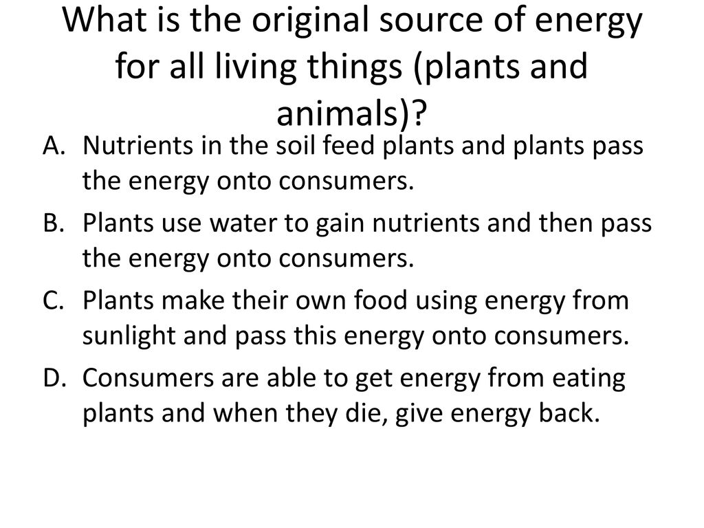 What is the original source of energy for all living things (plants and animals)