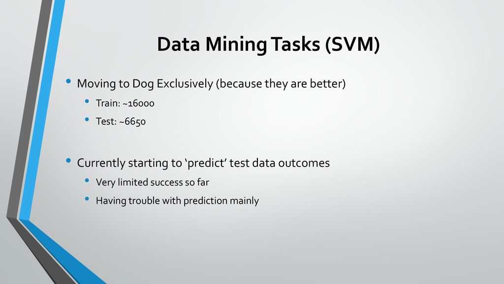 Animal shelter adoption ppt download