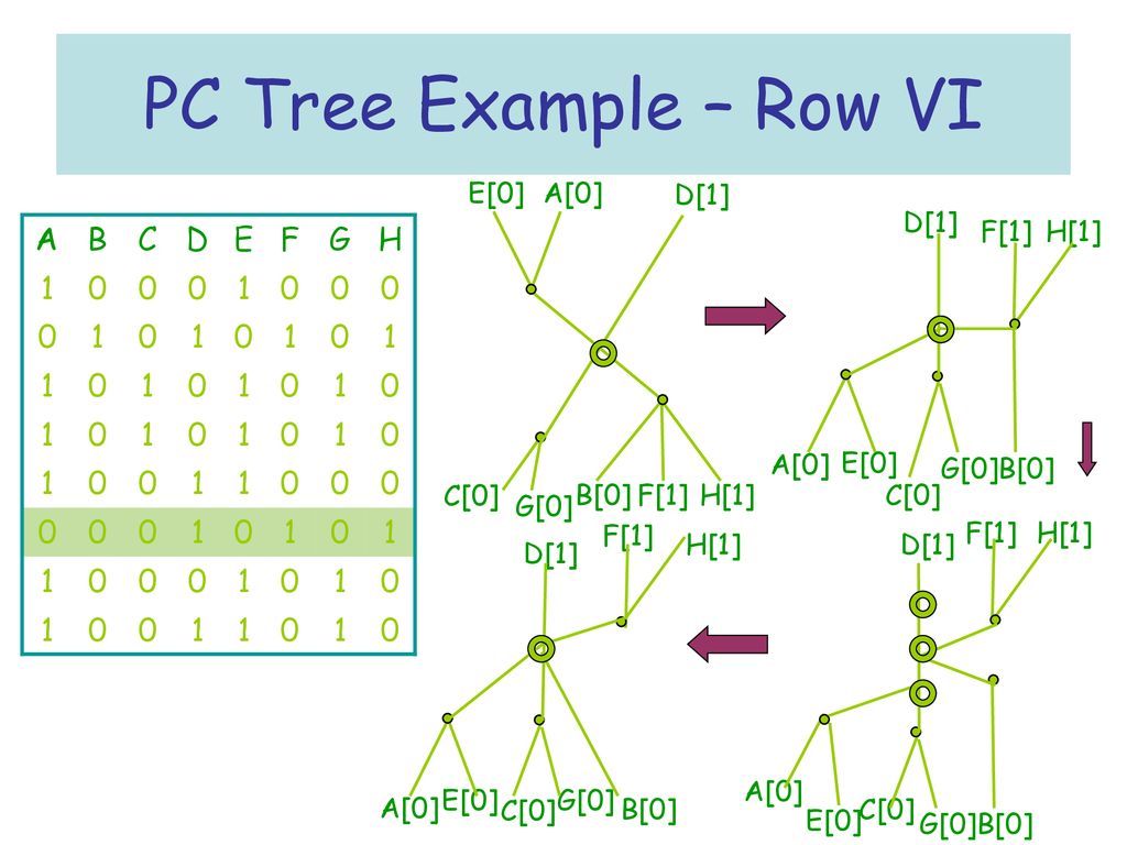Pc Trees And Circular One Arrangements Ppt Download