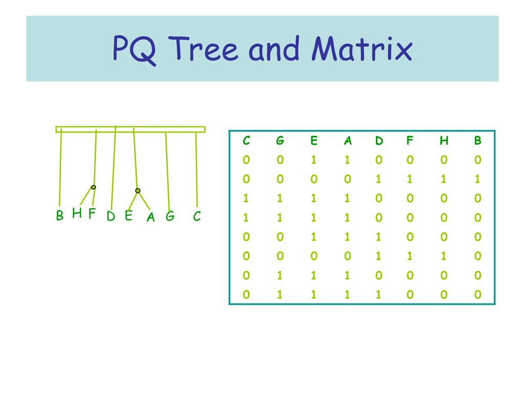 Pc Trees And Circular One Arrangements Ppt Download