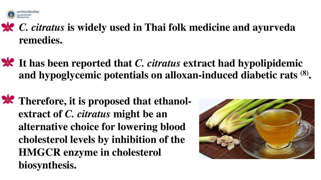 C. citratus is widely used in Thai folk medicine and ayurveda remedies.