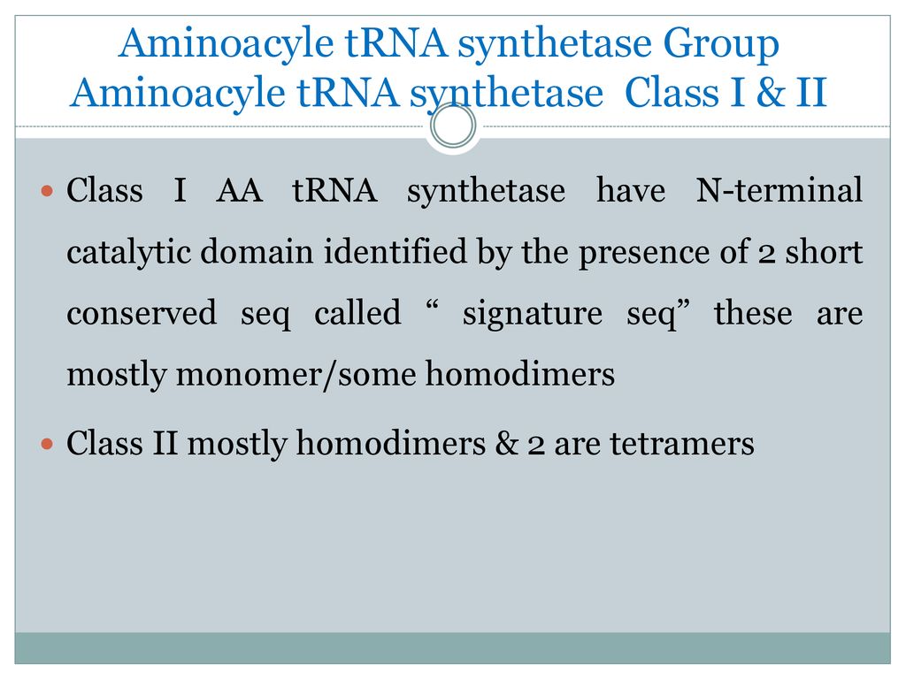 Aminoacyle tRNA synthetase Group Aminoacyle tRNA synthetase Class I & II