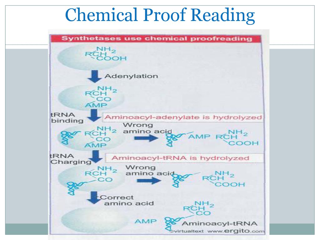 Chemical Proof Reading