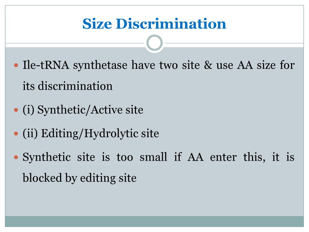 Size Discrimination Ile-tRNA synthetase have two site & use AA size for its discrimination. (i) Synthetic/Active site.