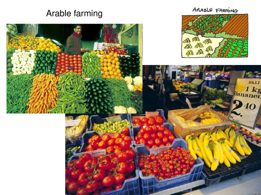 Arable farming