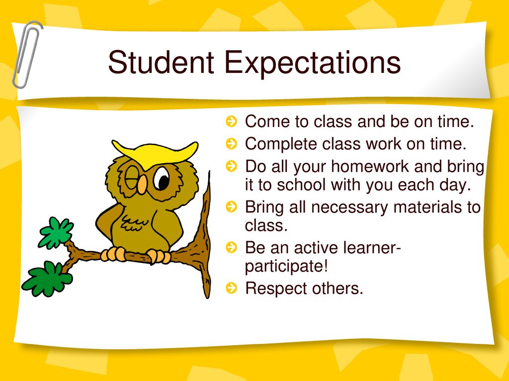 Student Expectations Come to class and be on time.
