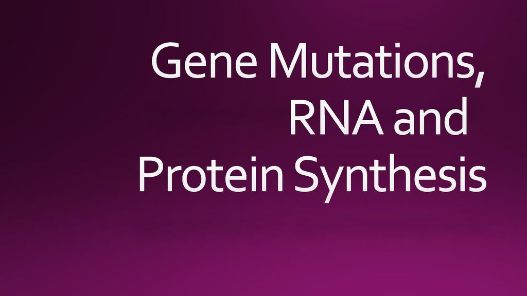 Gene Mutations, Rna And Protein Synthesis - Ppt Download