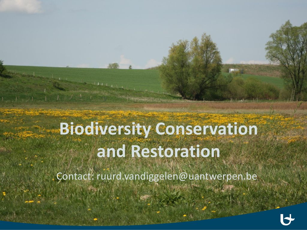 Biodiversity Conservation And Restoration Ppt Download