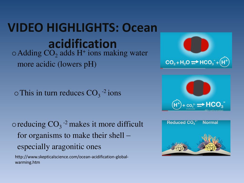 VIDEO HIGHLIGHTS: Ocean acidification