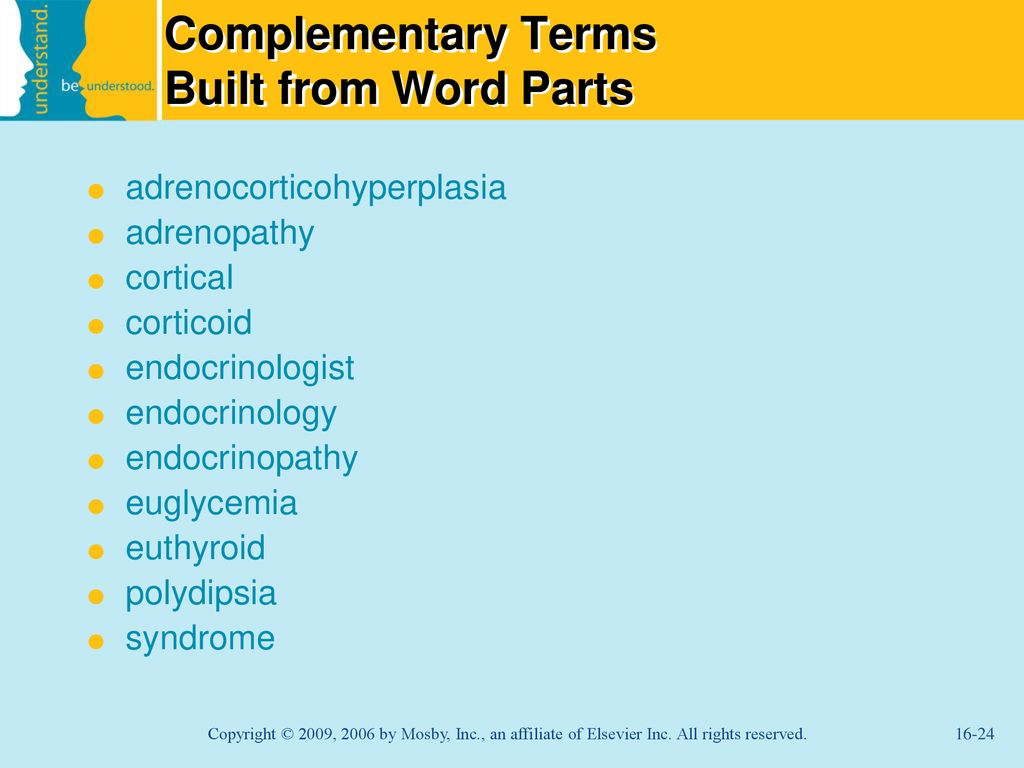 Chapter 16 Endocrine System - ppt download