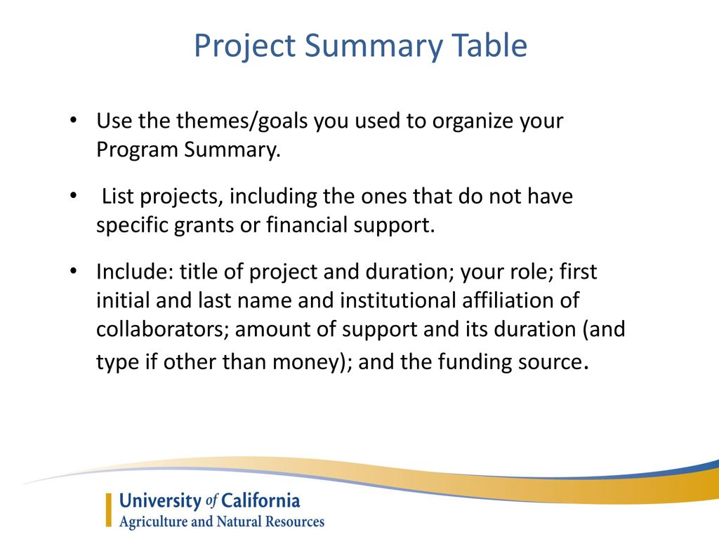 Project Summary Table Use the themes/goals you used to organize your Program Summary.