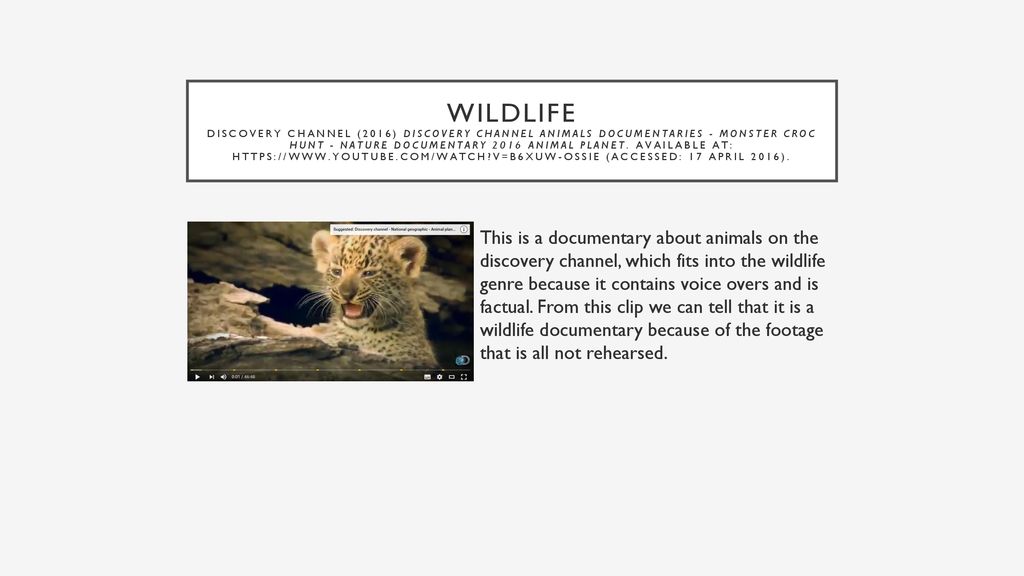 Wildlife Dictionary (no date) The definition of wildlife - ppt download
