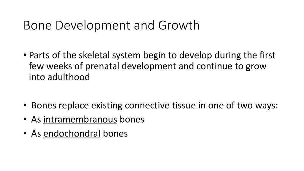 Ch. 7 Skeletal system. Biology Diagrams