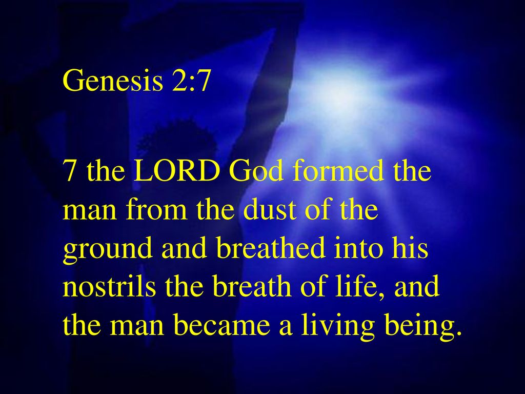 Genesis 2:7 with Sheets