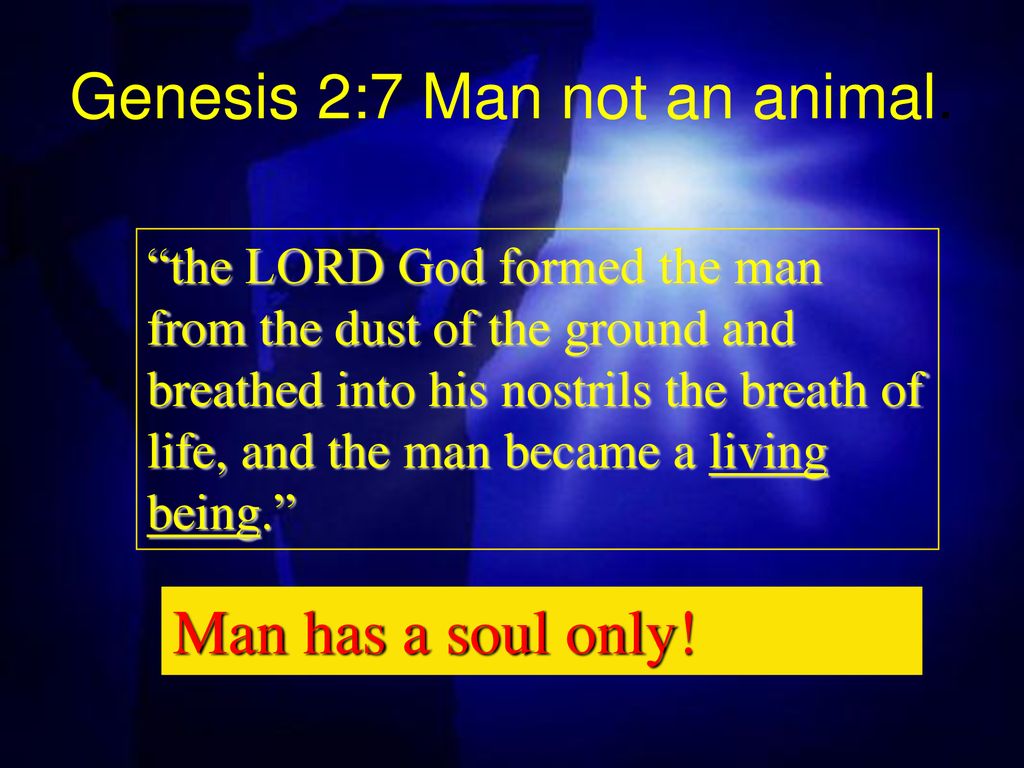 Genesis 2:7 with Sheets
