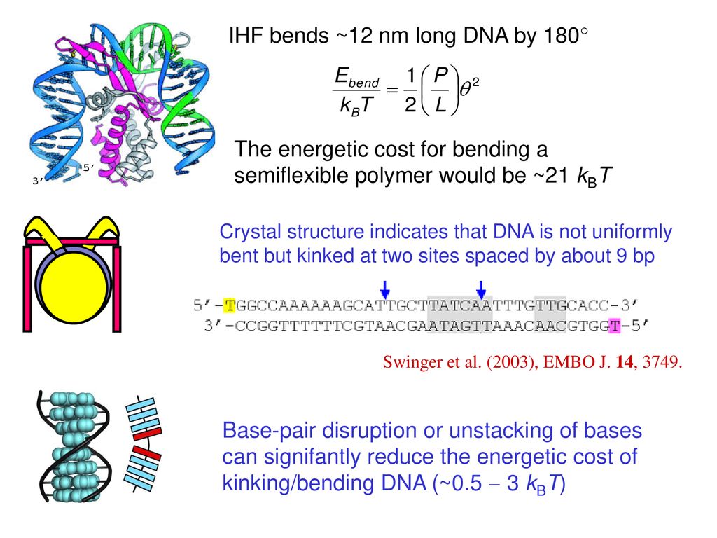 Biological macromolecules ppt download
