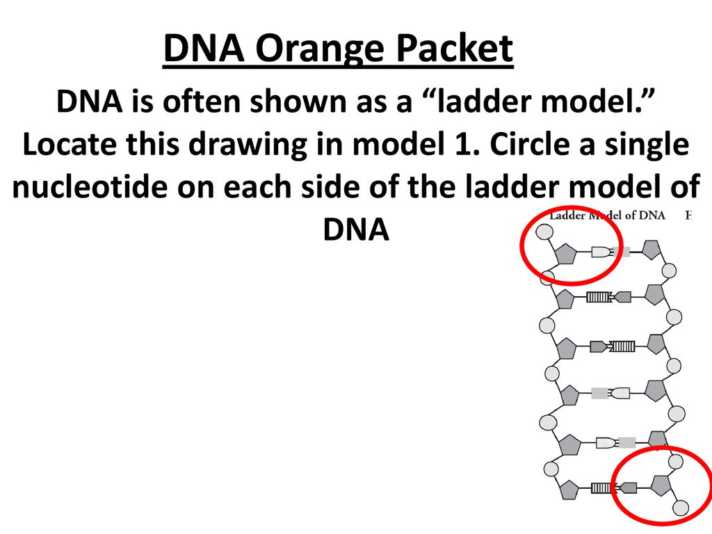 On Target Do This On Your Warm Up Worksheet Ppt Download